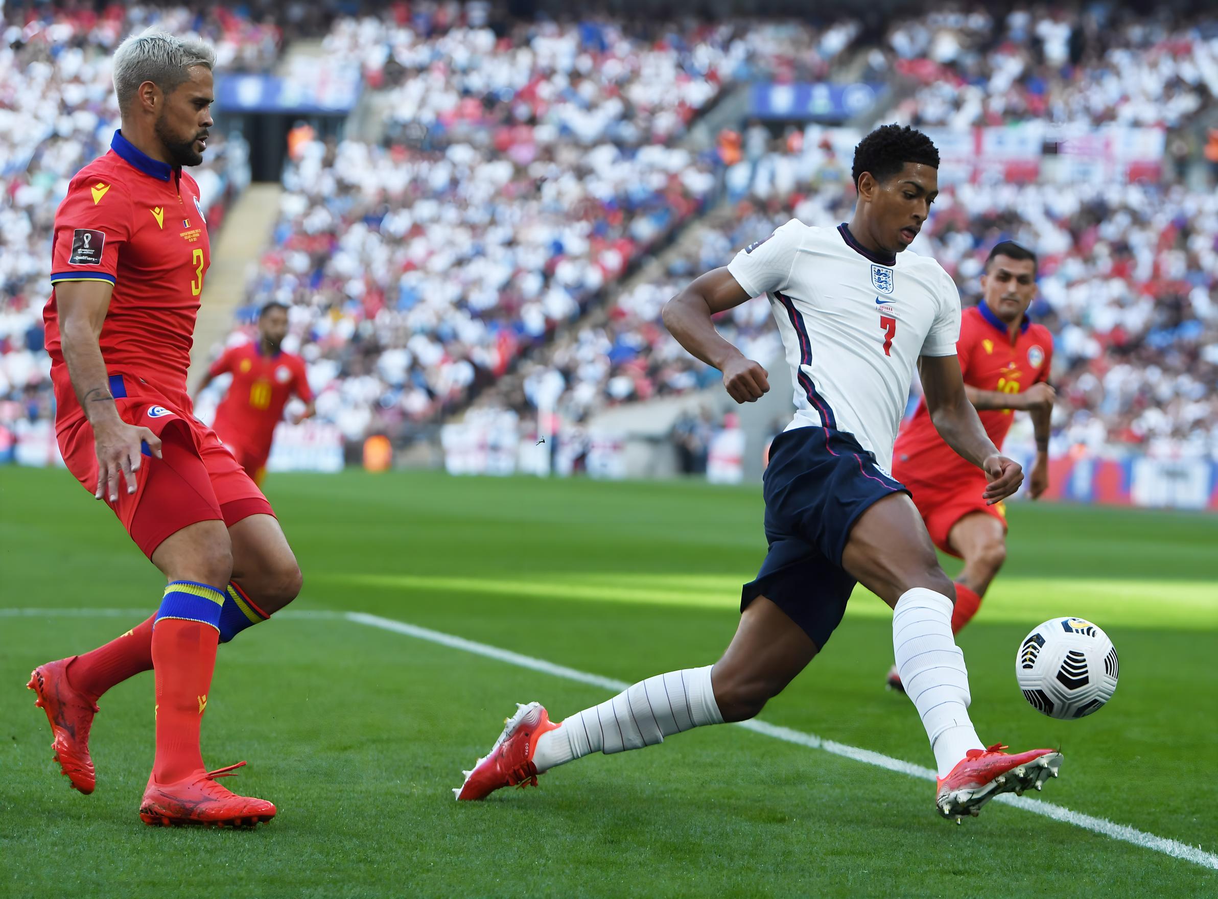 霍姆格伦在 霍姆格伦在