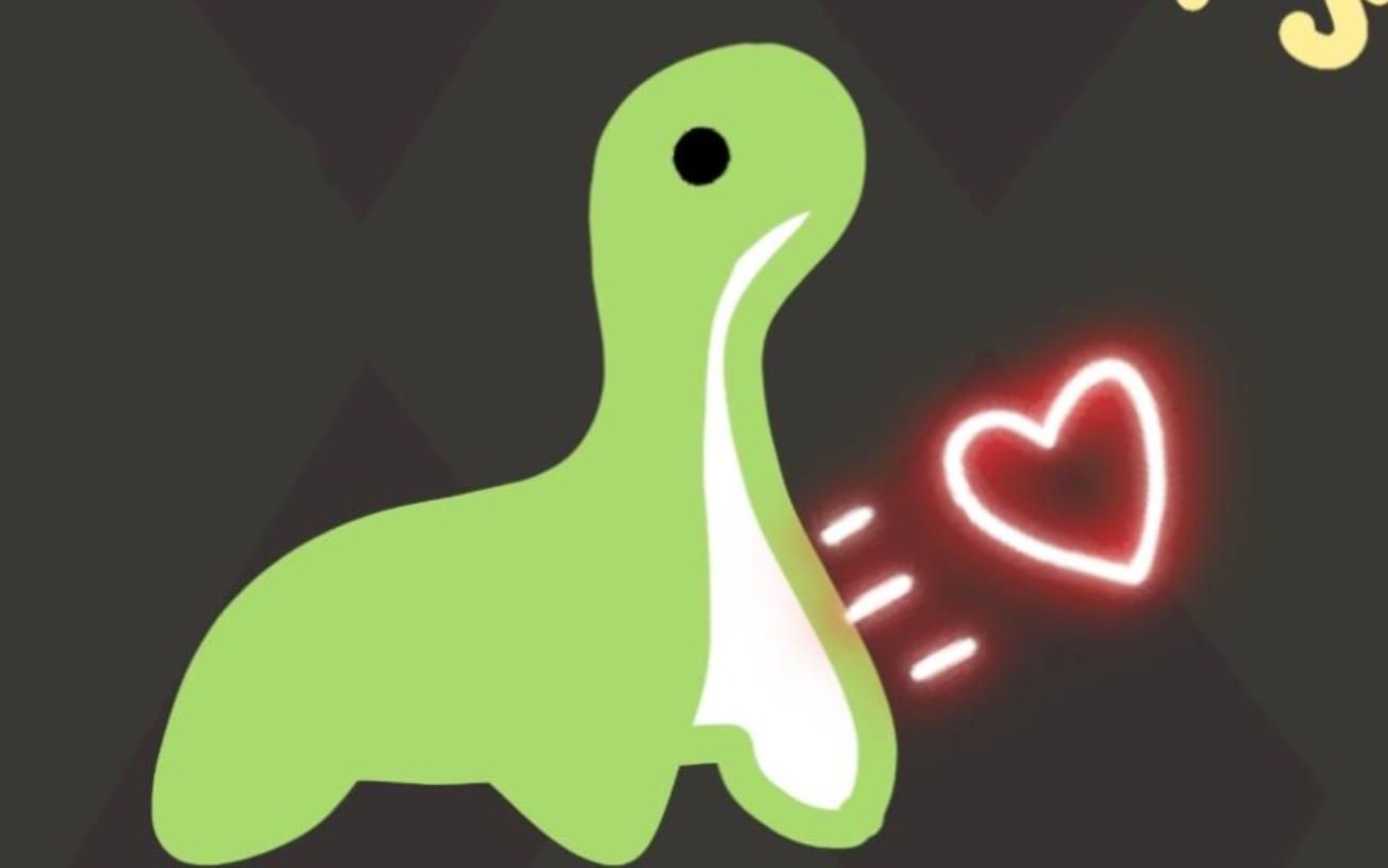 教练提供了 教练提供了