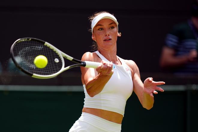 效应已经显 效应已经显